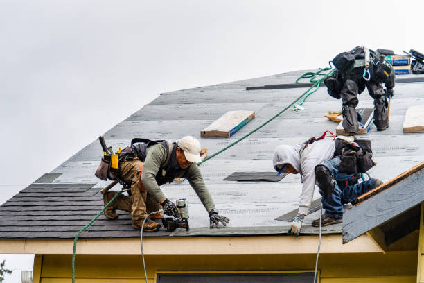 Professional Roofing technician working in La Plume, PA